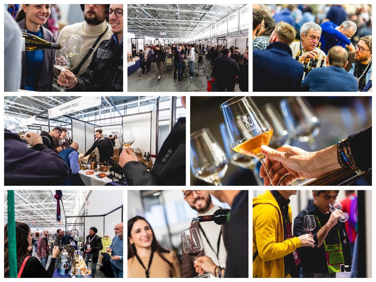 WineNewsIt's tweet photo. La #bellezza (e la #difficoltà) di essere #piccoli, e di seguire il #vino dalla #vigna allo #scaffale. La versione dei #produttori e della Federazione Italiana #VignaioliIndipendenti #Fivi, dal suo “#Mercato” (per la prima volta, a #BolognaFiere), con il “cameo” di #Elio, https://t.co/PJZvV1Z87F