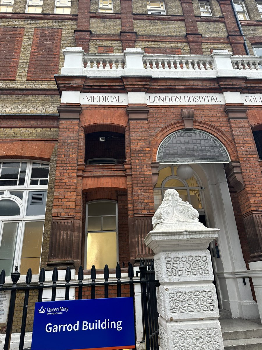 Dr Maria Fragiadaki tweet media