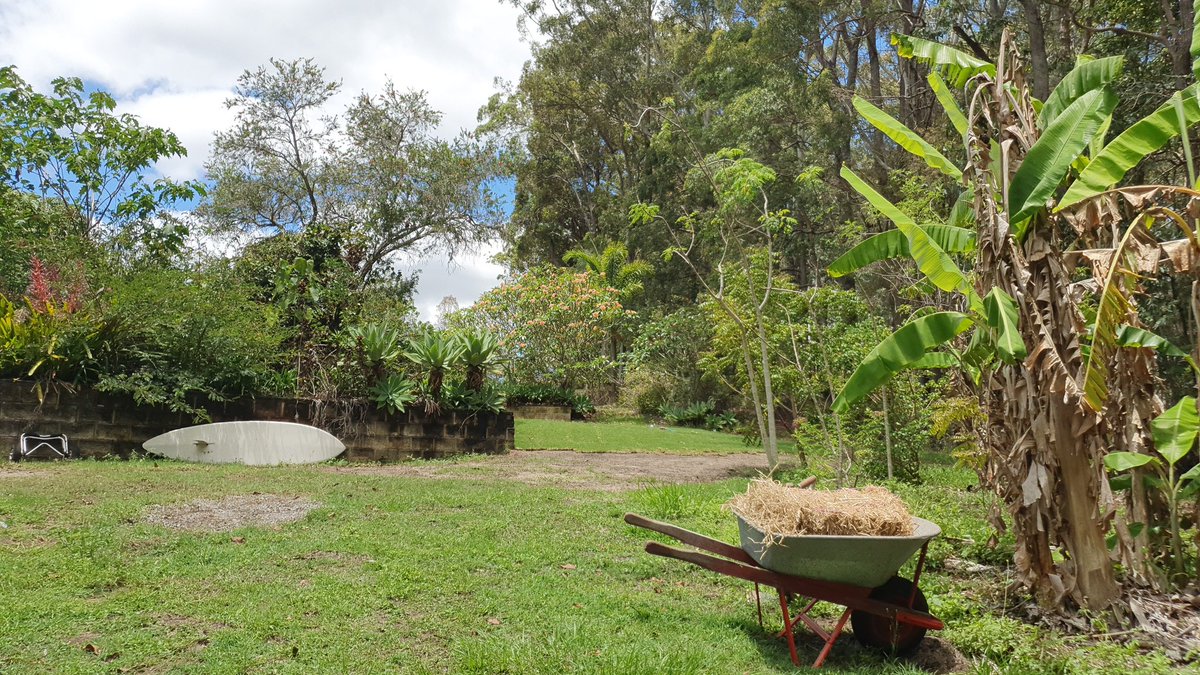 ♾️ infinite garden 🌱

day 1: cultivating a regenerative garden by implementing Permaculture methods  for rainwater harvesting...