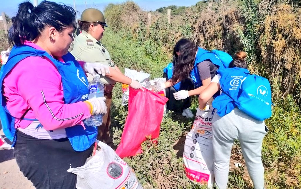 CarabCoquimbo's tweet image. A través del trabajo 🤝 y comunitario, contribuimos a generar espacios más seguros para todos. Junto a alumnos de @AIEP, nuestros @CarabMicc de la 1ª Comisaría #LaSerena, despejaron la vía de evacuación de #Amunategui entre la #AvDelMar y la #Ruta5. 

#CarabinerosDeTodos