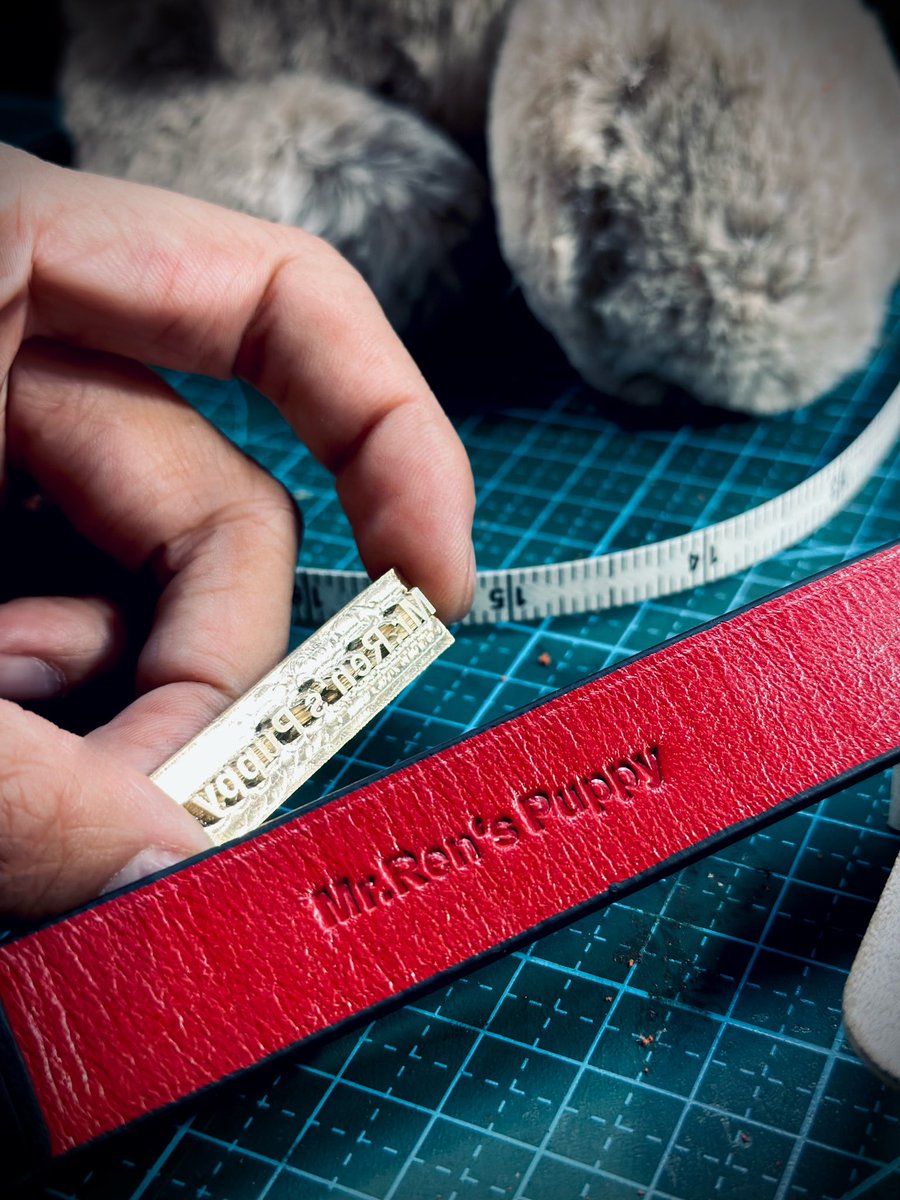 FOR YOU🪡 #女女 #拉拉 #les