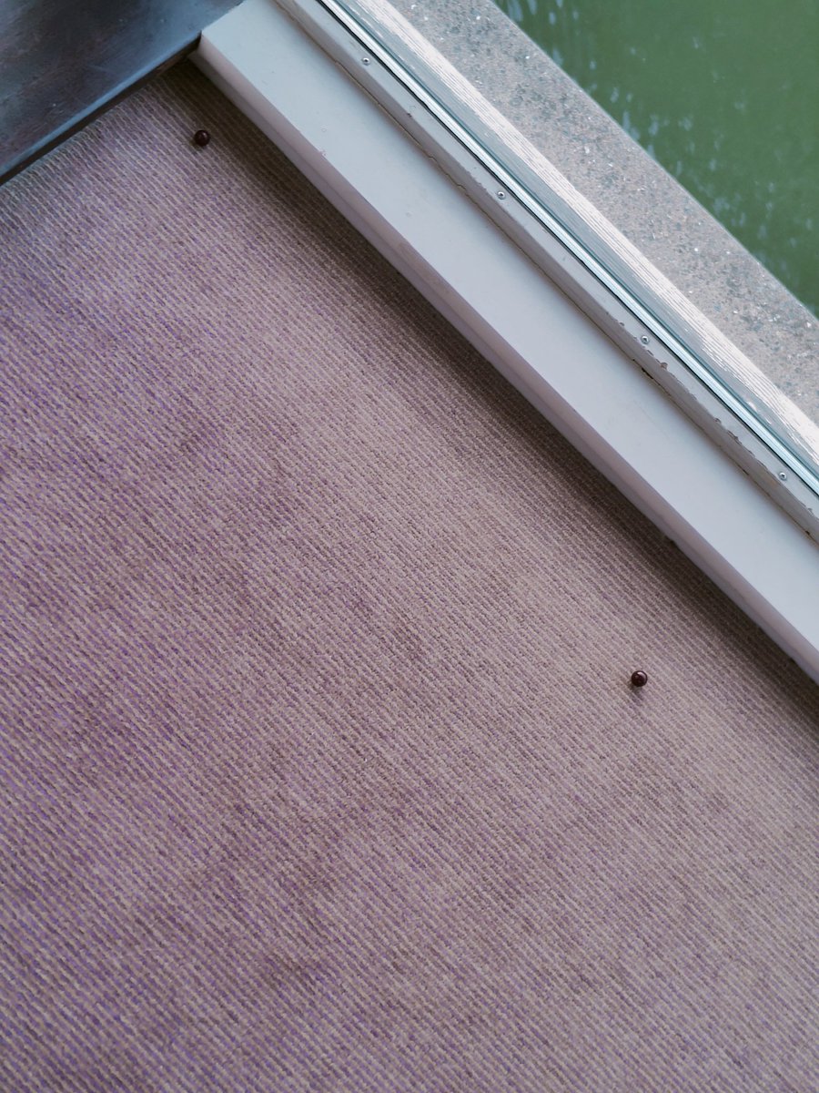 Jon Paterson tweet media