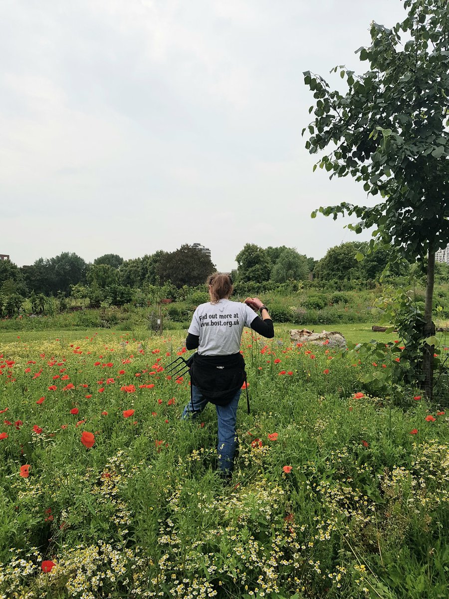 Future Gardeners began in 2016. Each year, Louisa leads 3 courses guiding students through hands-on &amp; classroom-based #horticulture &amp; taking them to some of London's top parks &amp; gardens to meet inspiring gardeners. Thanks @TRPGuild7 &amp; <a href="/GardenLiveryCo/">GardenLiveryCo</a> for supporting the course!