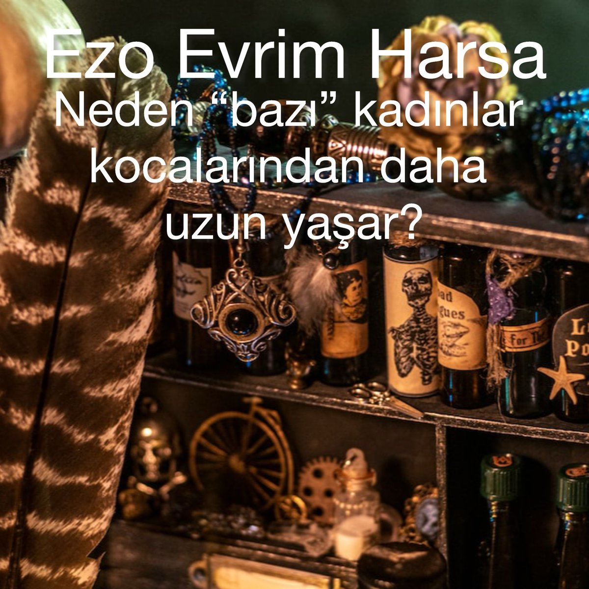 Aqua Tofana nedir? İmparator Augustus’u kim ve nasıl öldürdü? Cadılar gerçekten uçabilir mi? 

-Ezo Evrim Harsa, Neden “bazı” kadınlar kocalarından daha uzun yaşar?

kovuk.org/neden-bazi-kad…