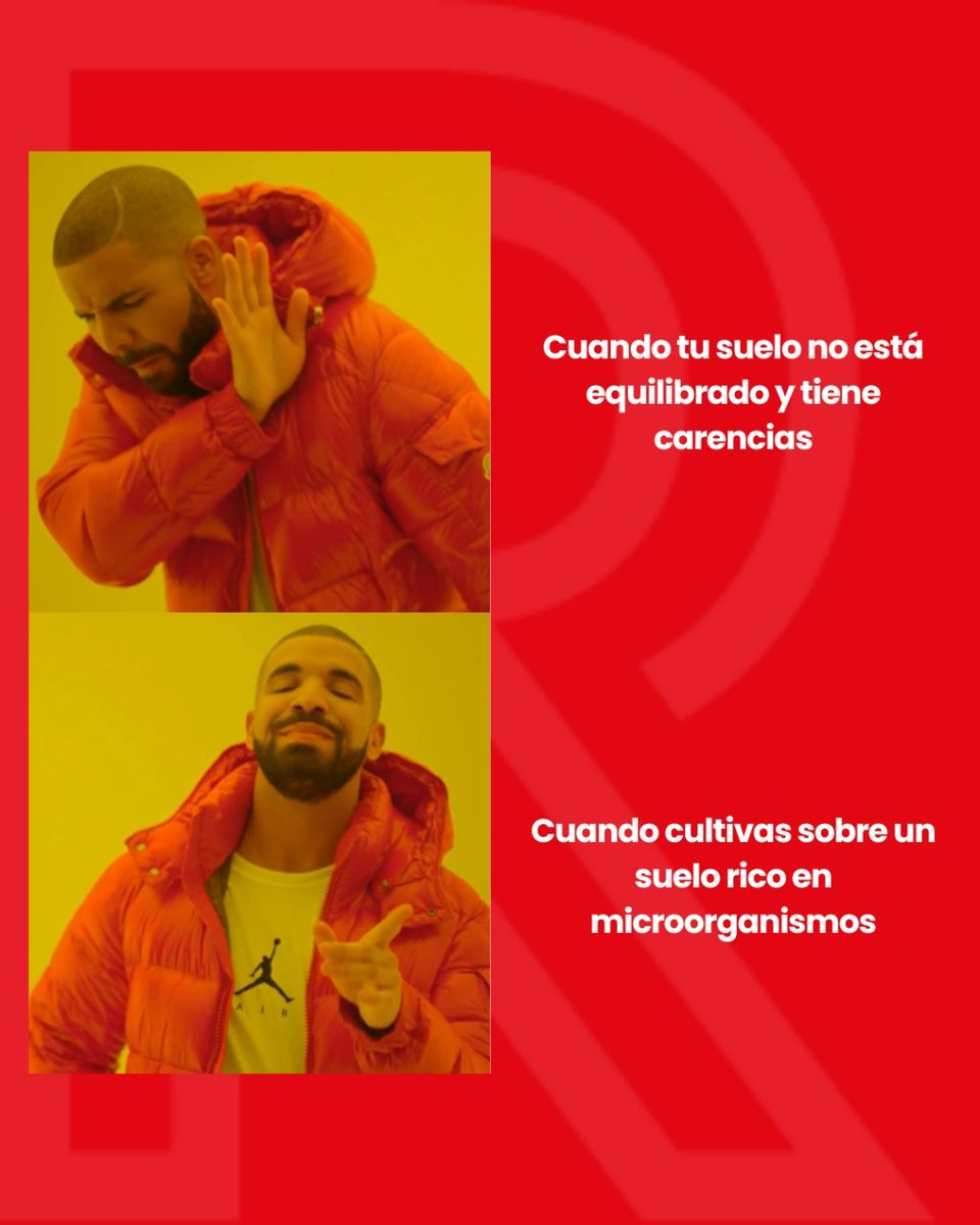 Ricote Valley Hub (@ricotevalleyhub) on Twitter photo ¿Sabías que la salud del suelo es el factor decisivo en el éxito o fracaso de nuestra agricultura? 🤔
Los microorganismos son determinantes para mantener el ciclo de vida en pleno movimiento, ayudando a las plantas a crecer fuertes y sanas. ¿Sabías que la salud del suelo es el factor decisivo en el éxito o fracaso de nuestra agricultura? 🤔
Los microorganismos son determinantes para mantener el ciclo de vida en pleno movimiento, ayudando a las plantas a crecer fuertes y sanas.