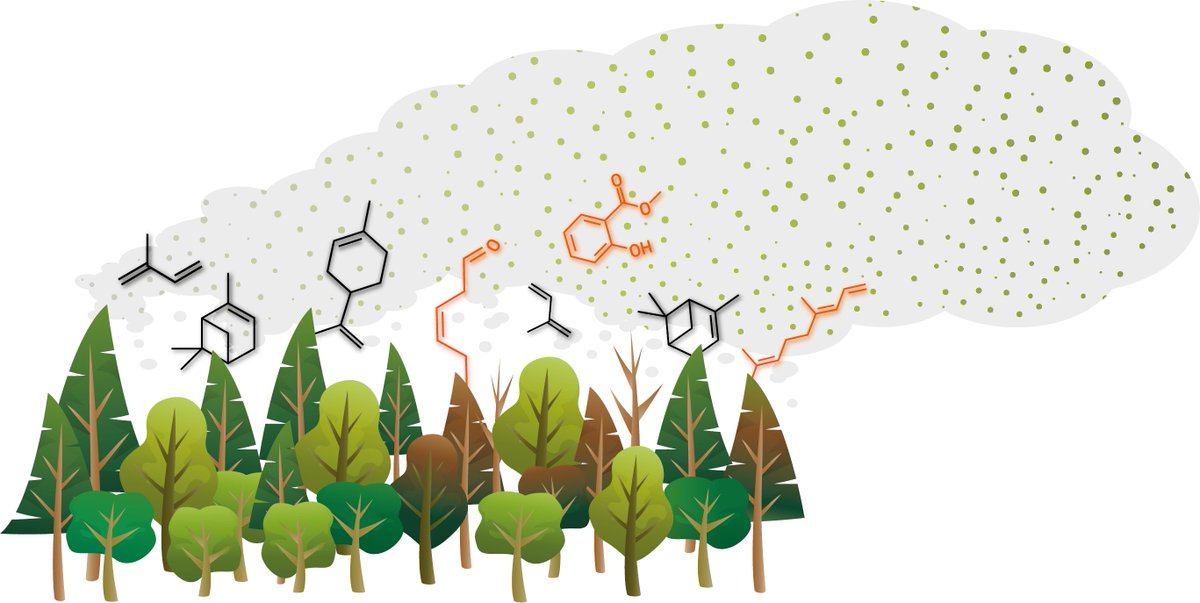 Dr. Eva Pfannerstill (@eva_yp) on Twitter photo I am hiring a PhD student! For anyone interested in mass spec, atmospheric chemistry, forests, chambers and Zeppelins. Please forward to any potential candidates! fz-juelich.de/de/karriere/st… <a href="/AtmChemAeroJobs/">Jobs in Atmos. Chem. & Aerosols - Now on Bluesky</a> I am hiring a PhD student! For anyone interested in mass spec, atmospheric chemistry, forests, chambers and Zeppelins. Please forward to any potential candidates! fz-juelich.de/de/karriere/st… <a href="/AtmChemAeroJobs/">Jobs in Atmos. Chem. & Aerosols - Now on Bluesky</a>