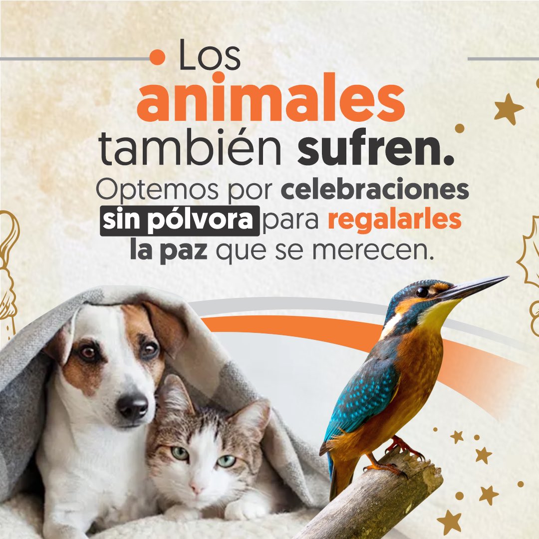 Profe Piolo Creamos tweet media