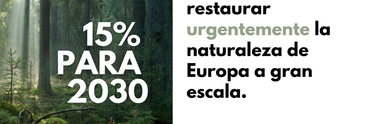 BASOBIZIAKPLAT1's tweet photo. #naturarenleheneratzelegea ri jarraipen estua egin nahi diogu, izan ere, tresna eraginkorra izan daiteke udal lurretan #monolaborantza tik #basobiziak etara pasatzeko, Europan onartuko den legedia probestuz. Gune urbanoetan ere leheneratze prozesuak jar ditzake udalaren eskuetan. https://t.co/CvjyU9ik28