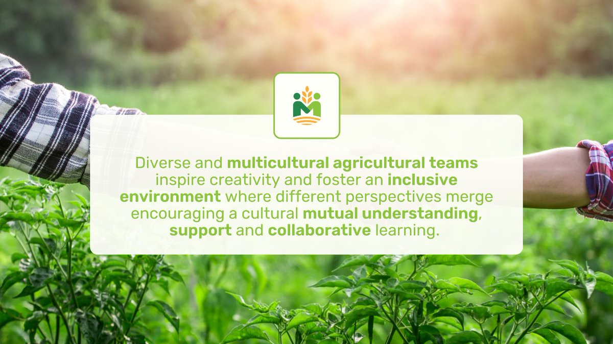 #DYK In #agriculture integrating #migrantworkers can spark innovation❓Their diverse skills & experiences bring fresh perspectives & enrich the farming landscape. 

🤝 Embracing diversity isn't just inclusive - it's a key to agricultural advancement! 

#MILIMAT #SocialIntegration