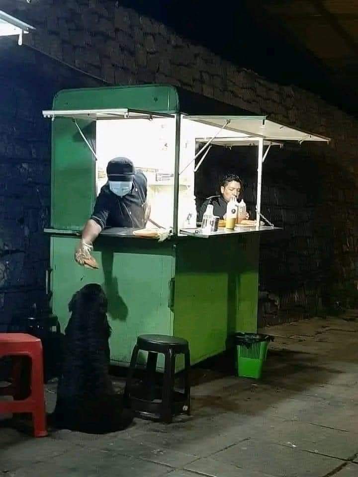 Deseo profundamente que todos los negocios que alimentan a  perritos callejeros, prosperen, via FB.