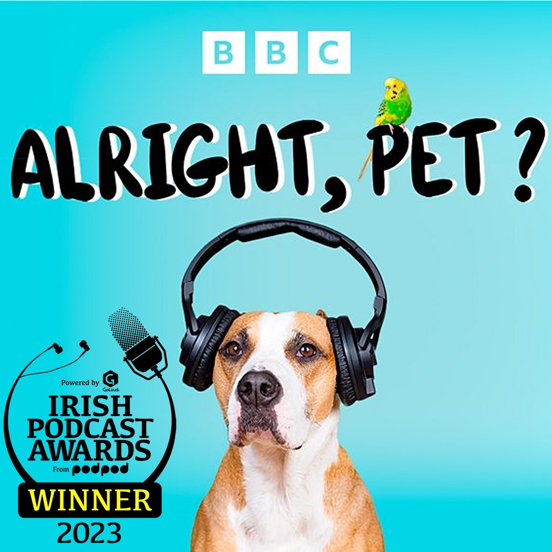Our Alright, pet? branding now with @IEPodAwards Best Factual podcast winner symbol. Beaming with pride for @RobAdamsVet and I and all the team. @bbcradioulster @BBCSounds @BBCnireland @podpodofficial You can listen to all episodes here: bbc.co.uk/programmes/p09…