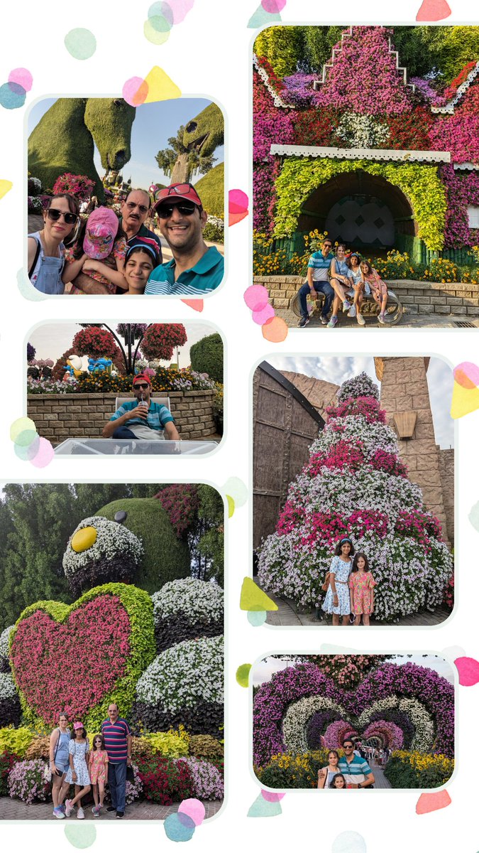 dinyarm's tweet photo. @VisitDubai_IN @MiracleGardenAE We were there last week!! Can't describe how beautiful the garden was! https://t.co/zi1M1gwjJo