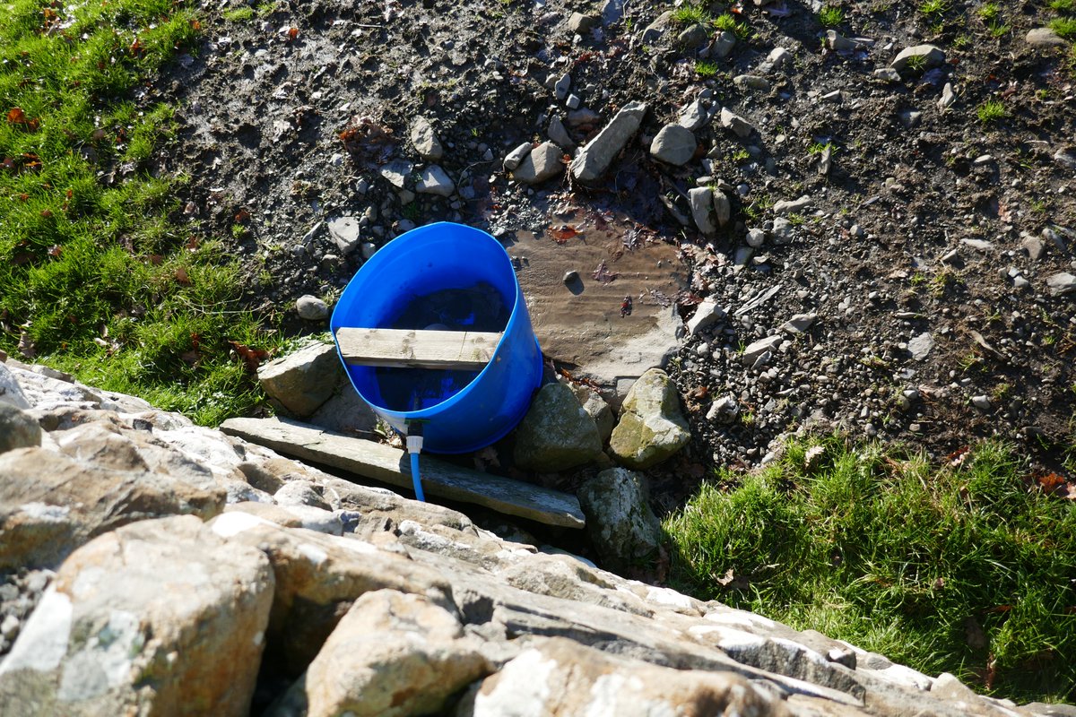 TheLengthsman's tweet image. On the outskirts of #SparkBridge this #drain was blocked and so is the #culvert under the road so it's iced over ~ Farmer has put a drinking water pipe through it for his sheep !