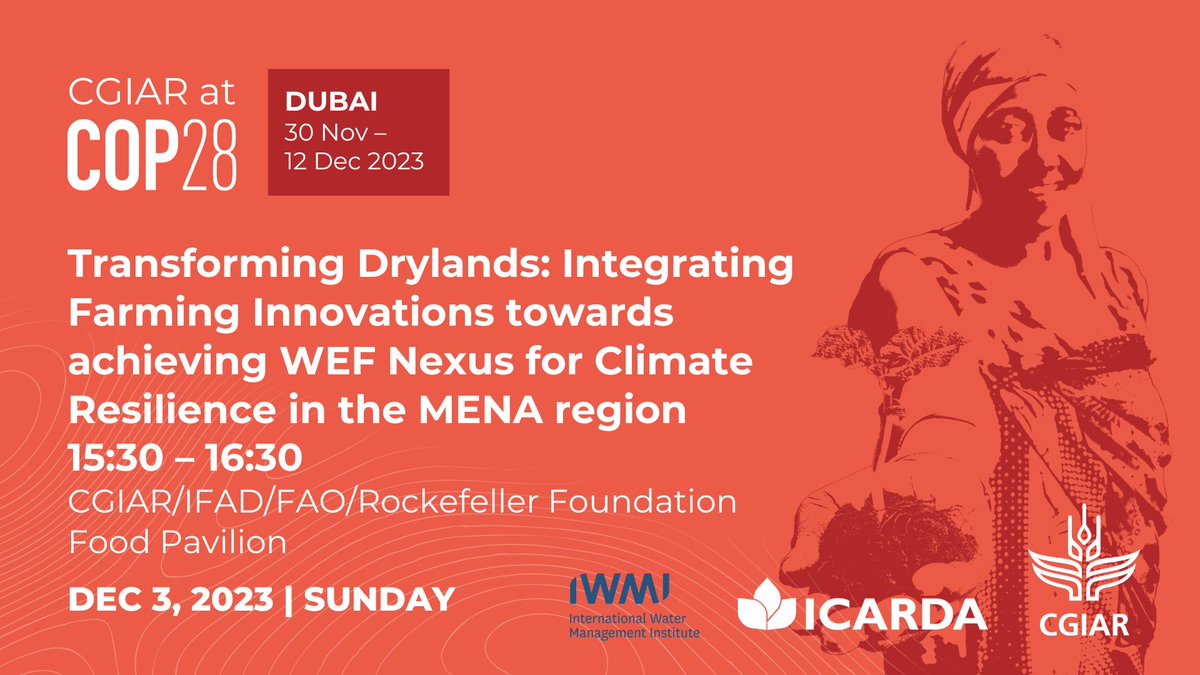 Join <a href="/ICARDA/">ICARDA</a> &amp; <a href="/IWMI_/">IWMI</a>  at #COP28 for our event on Transforming Drylands: Integrating Farming Innovations towards achieving WEF Nexus for Climate Resilience in the MENA region
 
⌚ 3 December
📅15:30–16:30
📍 Food &amp; Agriculture Pavilion

📌 on.cgiar.org/3FLMTwI