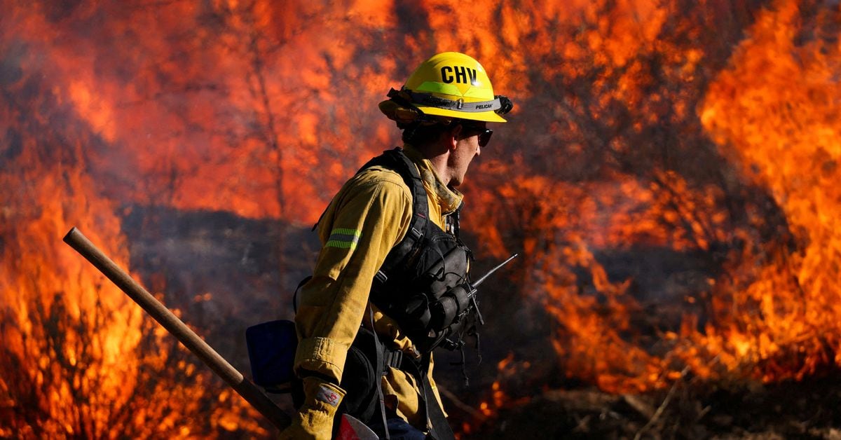 Entelligent tweet media