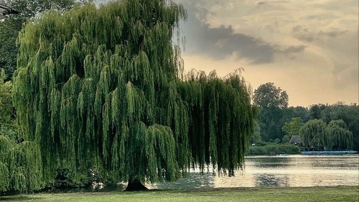 I' (@moodyonmoon) on Twitter photo 