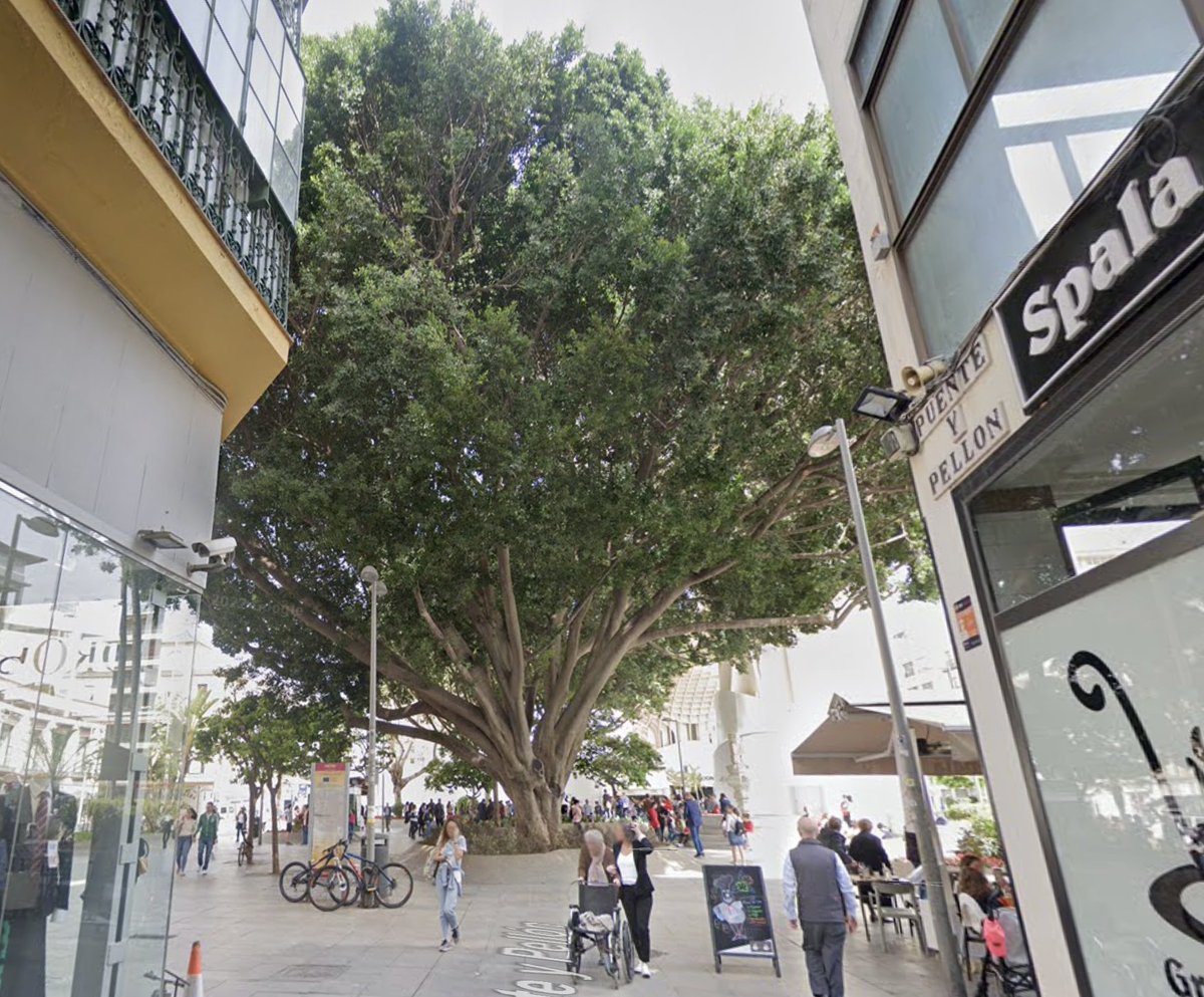 ✴𝐆𝐨𝐑𝐳𝐚✴ tweet media