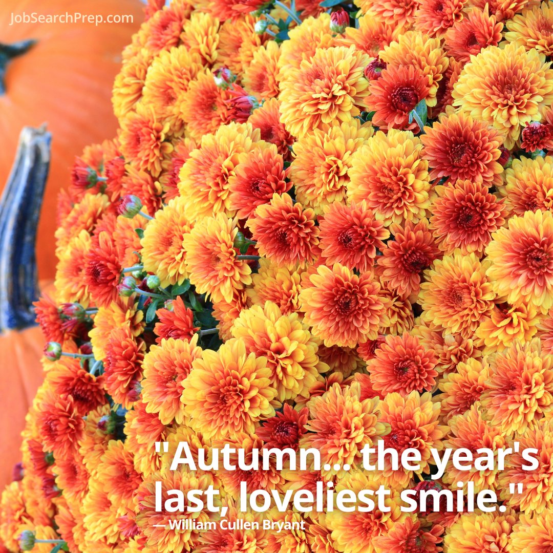 🍁 "Autumn... the year's last, loveliest smile." — WC Bryant 😊 What's putting a smile on your face as we approach the year's end? Look for little moments of joy, share what you are grateful for this season! #Ilovemyjob #workbesties #gratitude #Smiles #YearEndReflections