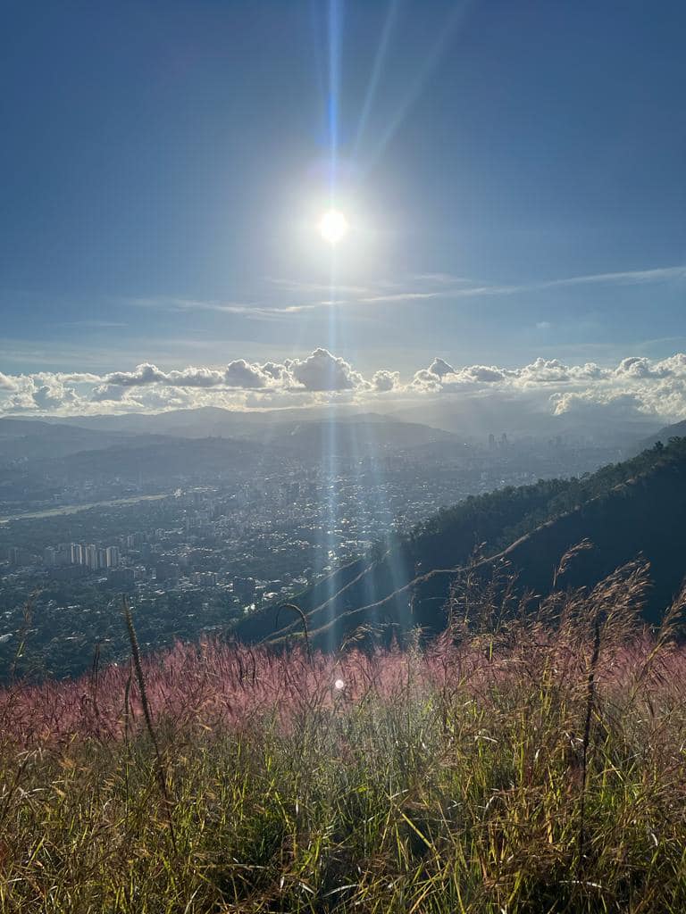 Naky's tweet photo. ¡Feliz año! 🥳
#Comenzamos2024 https://t.co/3CQoRJDES2