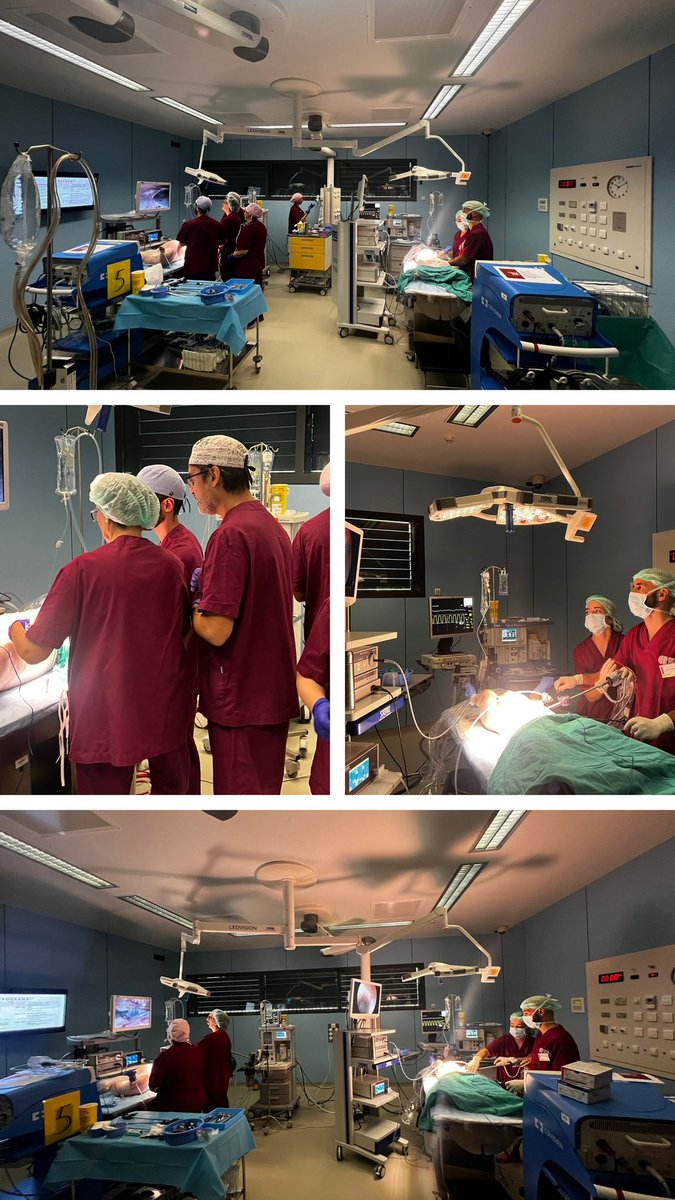 CREBA (@creballeida) on Twitter photo A luxury faculty: Dr. Rafael Villalobos (from <a href="/harnaulleida/">Hospital Universitari Arnau de Vilanova</a>),
Dr. Javier Lopez Monclús (from <a href="/HospitalPdH/">Puerta de Hierro</a>), Dr. Juan Bellido Luque (from <a href="/HUVMacarena/">Hospital Virgen Macarena</a>), and Dr. Miguel Toledano (from #HopitalRíoHortega) 👌🏼👌🏼👌🏼👌🏼
#AbdominalWallSurgery #Training A luxury faculty: Dr. Rafael Villalobos (from <a href="/harnaulleida/">Hospital Universitari Arnau de Vilanova</a>),
Dr. Javier Lopez Monclús (from <a href="/HospitalPdH/">Puerta de Hierro</a>), Dr. Juan Bellido Luque (from <a href="/HUVMacarena/">Hospital Virgen Macarena</a>), and Dr. Miguel Toledano (from #HopitalRíoHortega) 👌🏼👌🏼👌🏼👌🏼
#AbdominalWallSurgery #Training