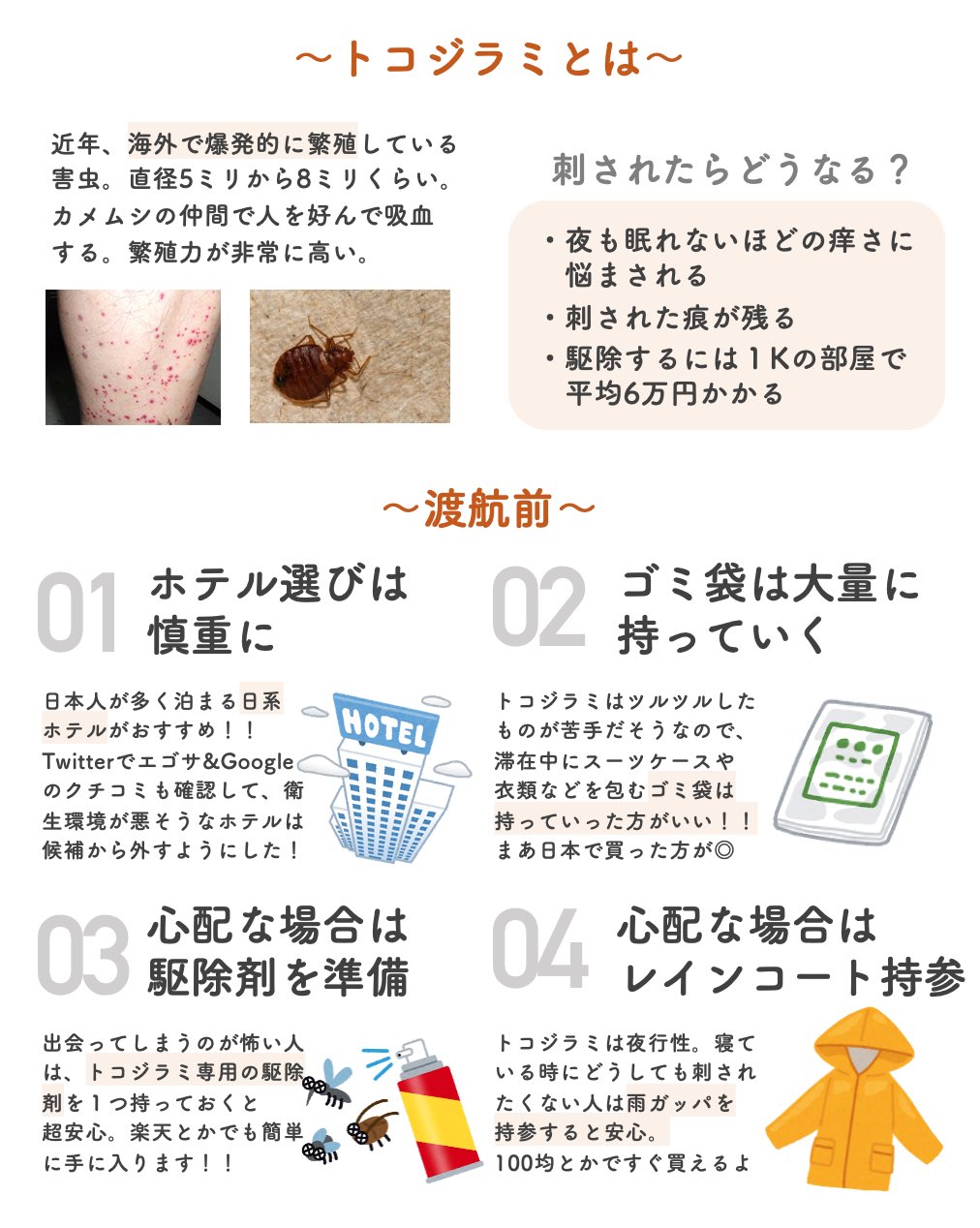 活動歴および当時の関連ビジュアル記録
