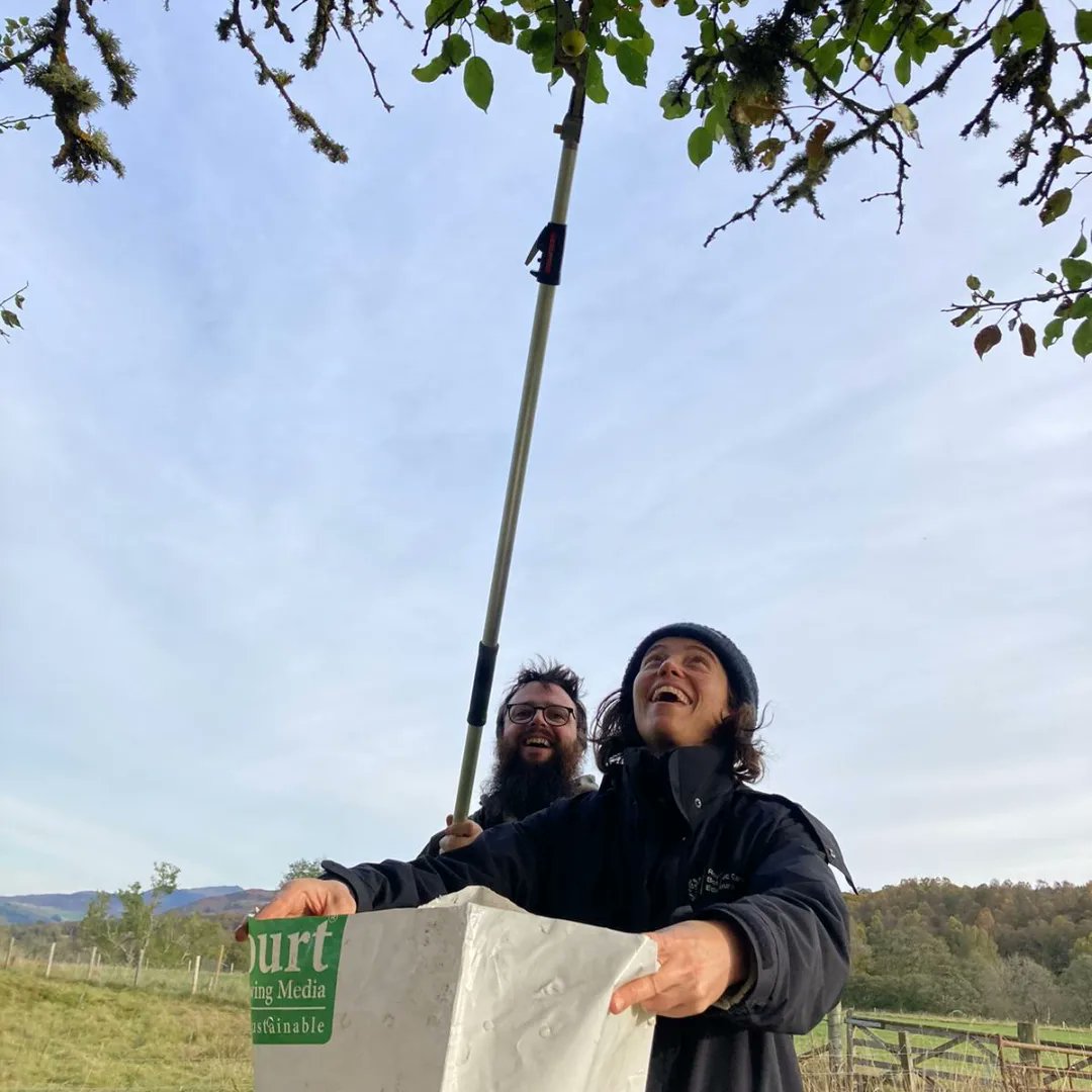PlantsRbge's tweet photo. So sad to say adieu to the amazing  @raquelbobinson most passionate mama bear of Arran Whitebeams, most joyful and tireless fieldwork hero, and best ever communicator on here. Glad you'll still be #TeamRBGE can't wait to see how all your passion and joy will bubble up onwards 🌿 https://t.co/DMhdg4ivVE