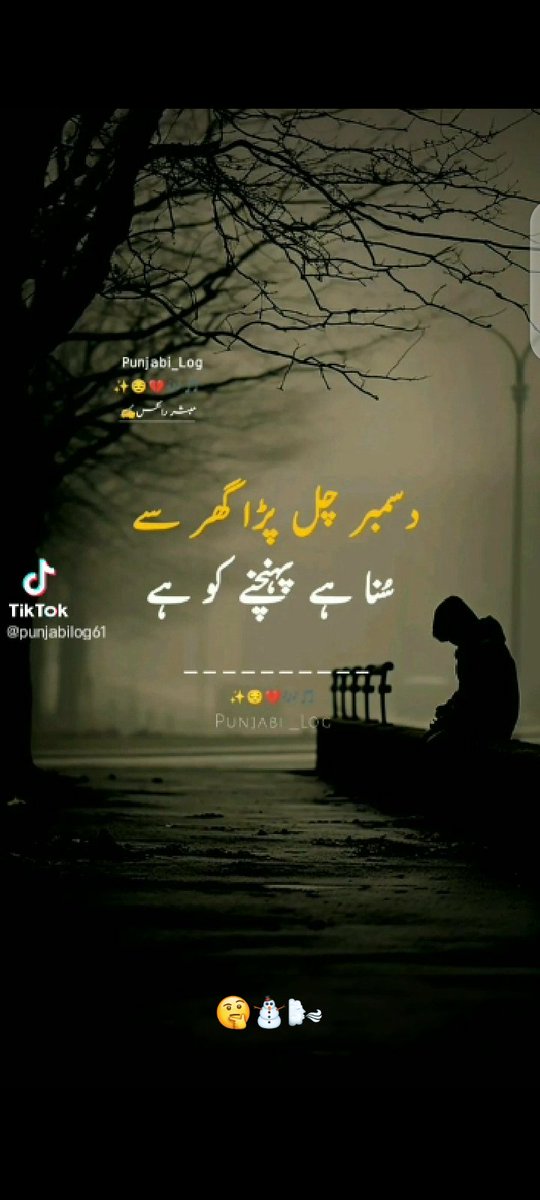 امثال چوہدری tweet media