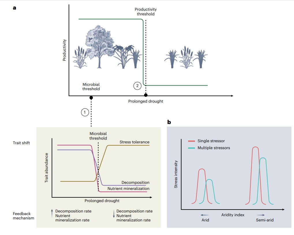 Prof Brajesh Singh tweet media