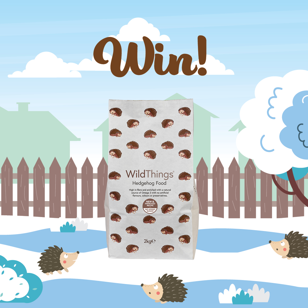 WIN a packet of our 2kg Hedgehog Food to help you feed your local hogs all winter long!
To enter all you have to do is:

🦔 Like and share this post
🦔 Tag a friend
🦔 Follow our account

Competition ends 10th December. Good Luck! T&amp;Cs apply