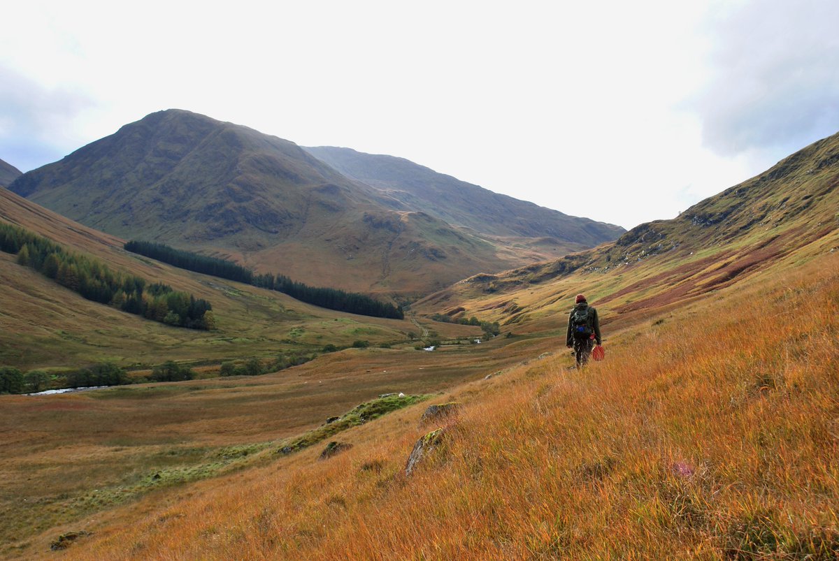 You can check out my new article in the Proceedings of the Society of Antiquaries of Scotland reporting on recent surveys and excavations in Gleann Leac-na-Muidhe here: doi.org/10.9750/PSAS.1… (Photos - Kenneth Stewart, Gemma Smith & @lizzierbertson)