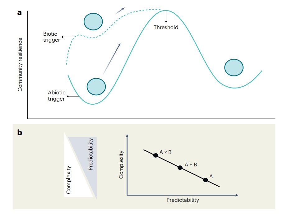 Lab paper in <a href="/NatureMicrobiol/">Nature Microbiology</a> led by <a href="/EleonoraEgidi/">Eleonora Egidi (she/her)</a> - we we propose trait-based approaches to harness the predictive power of microbes to forecast regime shifts &amp; manage ecosystem response to global changes. <a href="/arc_gov_au/">Australian Research Council</a> funded. <a href="/ManuDelBaq/">ManuDelgadoBaquerizo</a> <a href="/ClaudiaColeine/">Claudia Coleine</a> 
nature.com/articles/s4156…
