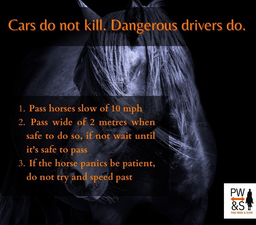 passwideandslow's tweet photo. Cars don't kill but drivers do
#roadsafety #vulnerableusers #horses #equestrian #roads #cars #safety #drivers #education #awareness https://t.co/D9GMtS4txR
