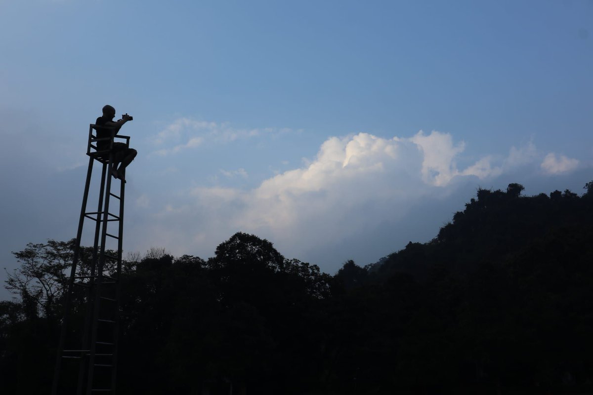 The Civet Project tweet media