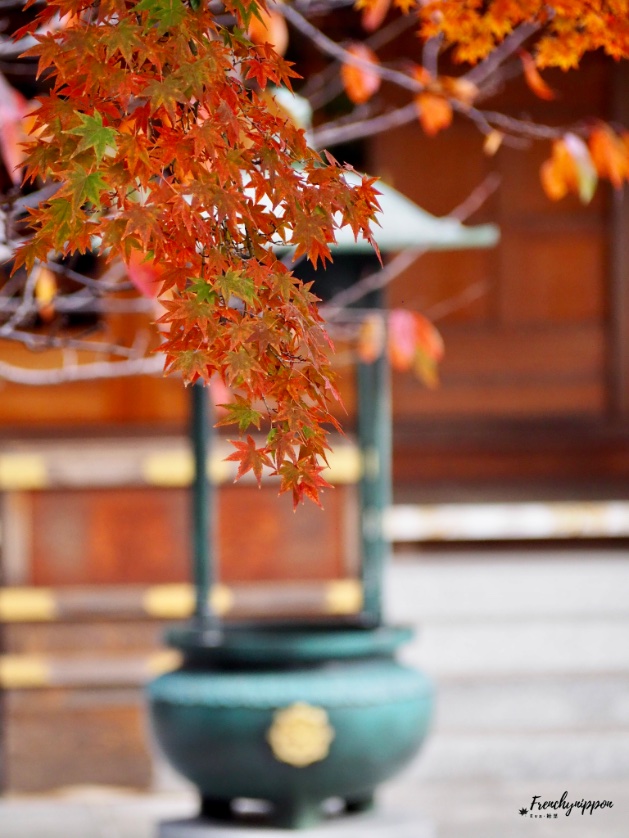 Frenchynippon's tweet photo. L’automne au #Japon, l’automne à #Kobe 🍁 https://t.co/SopyjznPHh