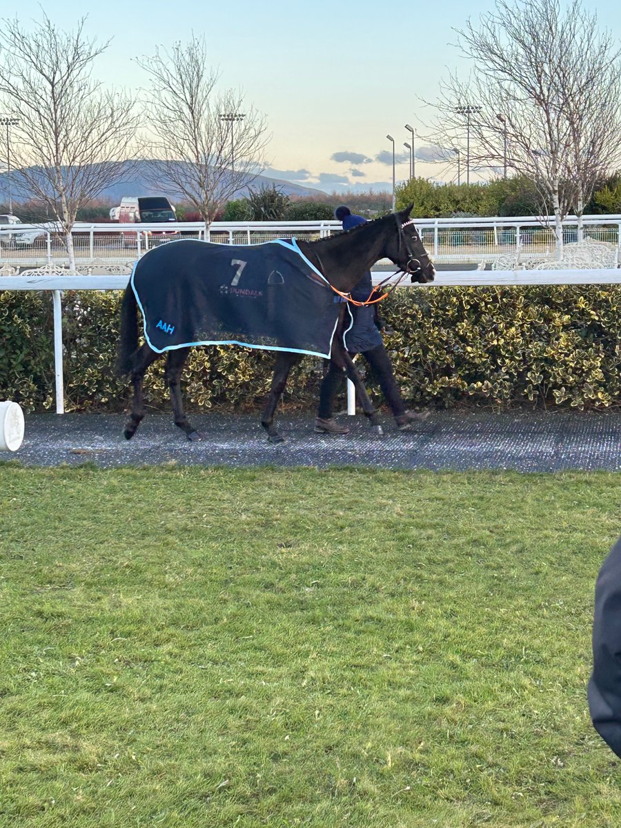 McCullen94's tweet photo. Proud of this filly, 3rd in a hot nursery at Dundalk yesterday. Great training performance from all at @AAHowardRacing Onwards and upwards. https://t.co/rN39Z3OGbV