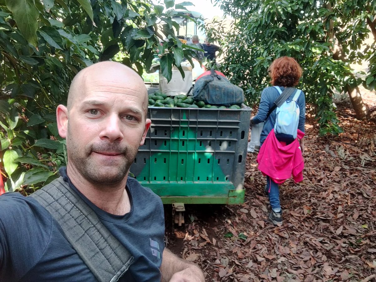 Shaked Stein tweet media