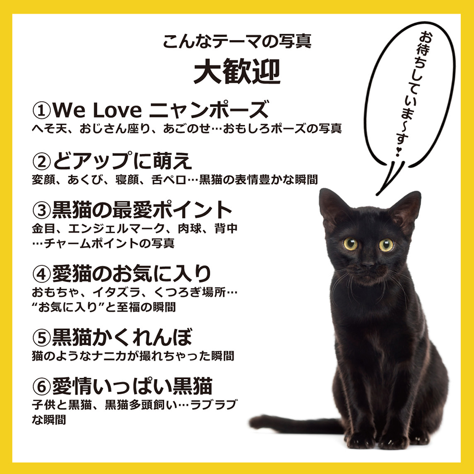 kuroneko_mamire's tweet photo. ／
締め切り1⃣2⃣月1⃣日㊎
＼

たくさんのご参加ありがとうございます
これからの方も、もう応募してくださった方も #黒猫まみれ4 をつけてご投稿ください

#黒猫まみれ #黒猫 #猫のいる暮らし https://t.co/qtPg7XGKF2