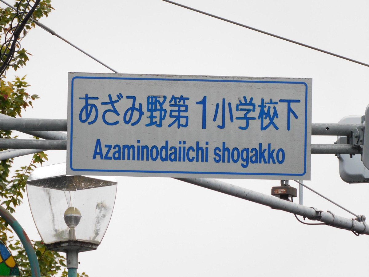 久々に見つけた「shogakko」