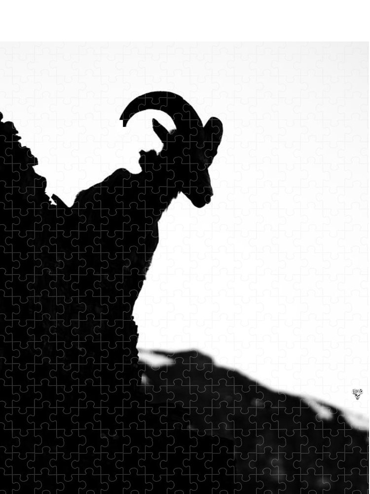 ..."From whence you came...you shall remain, until you are complete again"
🔥-one piece lost....lost piece found
...one last piece left.🐾🔥