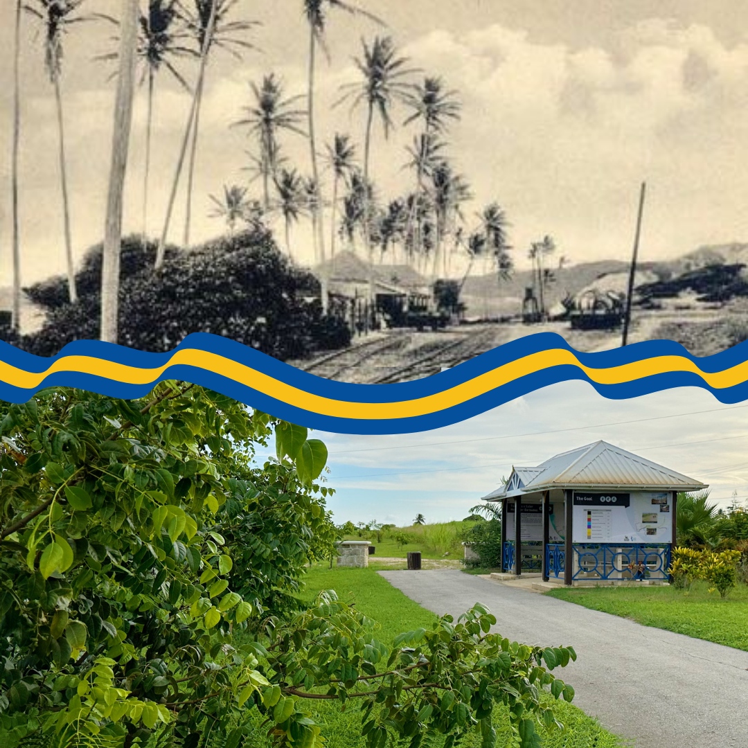 TrailwayBB's tweet photo. These fields and hills beyond recall are now our very own. Today, we celebrate 57 years of Independence and 2 years of being a republic. 🇧🇧 https://t.co/qtEp7CLX9T