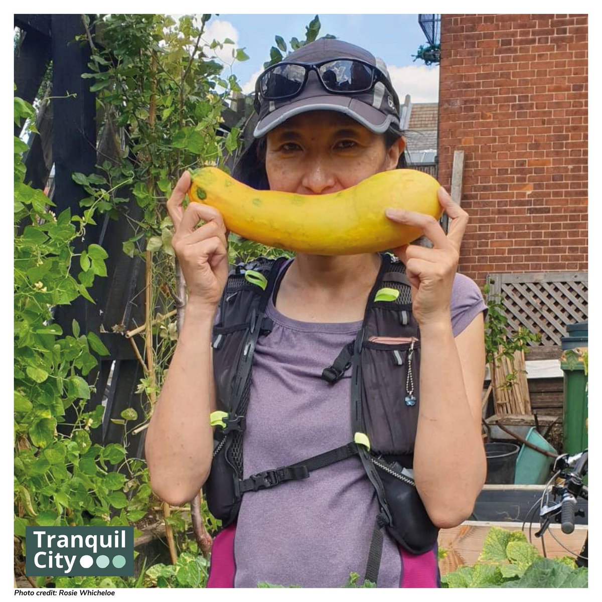 🌻🏙️ Unveiling the magic of tranquil urban spaces, our #TranquilStories share the calm to be found in the city🌿 Our second blog explores #ManorParkCommunityGarden in East London which fosters connection with its diverse uses @MPComGarden @NewhamLondon buff.ly/46xzWSc