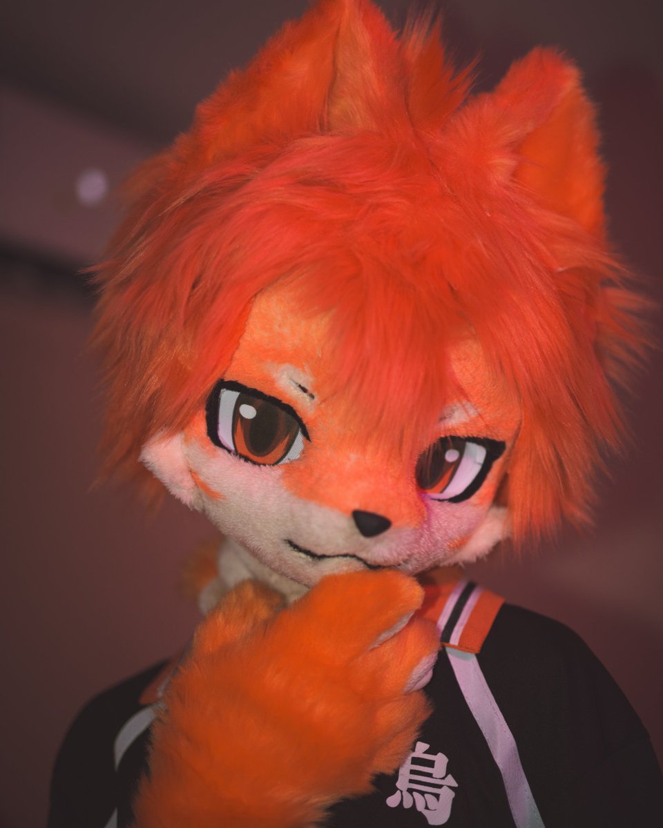 特别喜欢的 #ハイキュー #Haikyuu #排球少年 #日向翔陽#kemono #furrycommunity #fursuitmaker #furart #FursuitEveryday #兽装 #fursuits #fursuiter #furrywork #furryfriends #fursuitshop #fursuitweekend