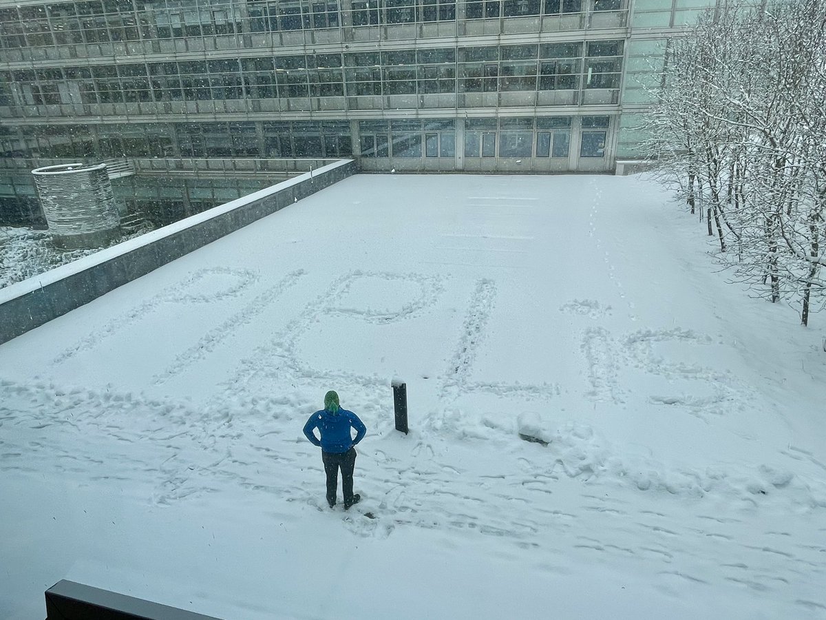 piel_lab's tweet image. Winter wonderland has started in Switzerland!
Snowy greetings from the Pielis ❄️☃️