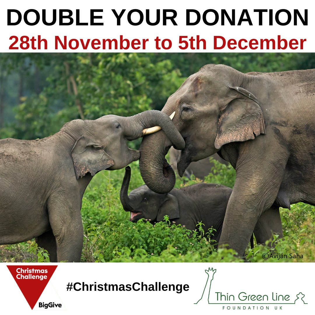 Thin Green Line Foundation UK tweet media