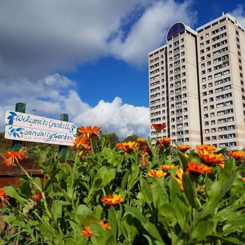GlasgowCC's tweet photo. #PlaceFund projects - funding awarded today - will support the redevelopment of some of our best-loved public spaces and buildings, help families, and attract investment to the areas in our city needing it most.
Find out more π https://t.co/dDU84dCxfA
(@govscot) https://t.co/cQT85rvkRe