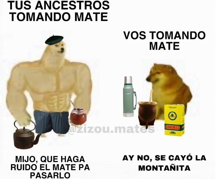 fabipa90's tweet photo. Feliz día del mate loco https://t.co/YfReZVCHXf