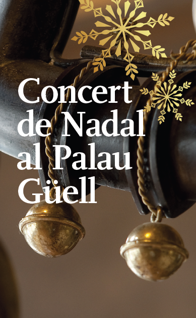 PalauGuell's tweet photo. 🎄Celebrem l’arribada del Nadal amb una de les obres imprescindibles de la història de la música, "Winterreise" (Viatge d’hivern) de Franz Schubert

🎼Concert de Nadal amb el pianista David Malet i el baríton Ferran Albrich, divendres 15 de desembre, 19 h

https://t.co/2zkkcrczHx https://t.co/HrIg8TpIvZ