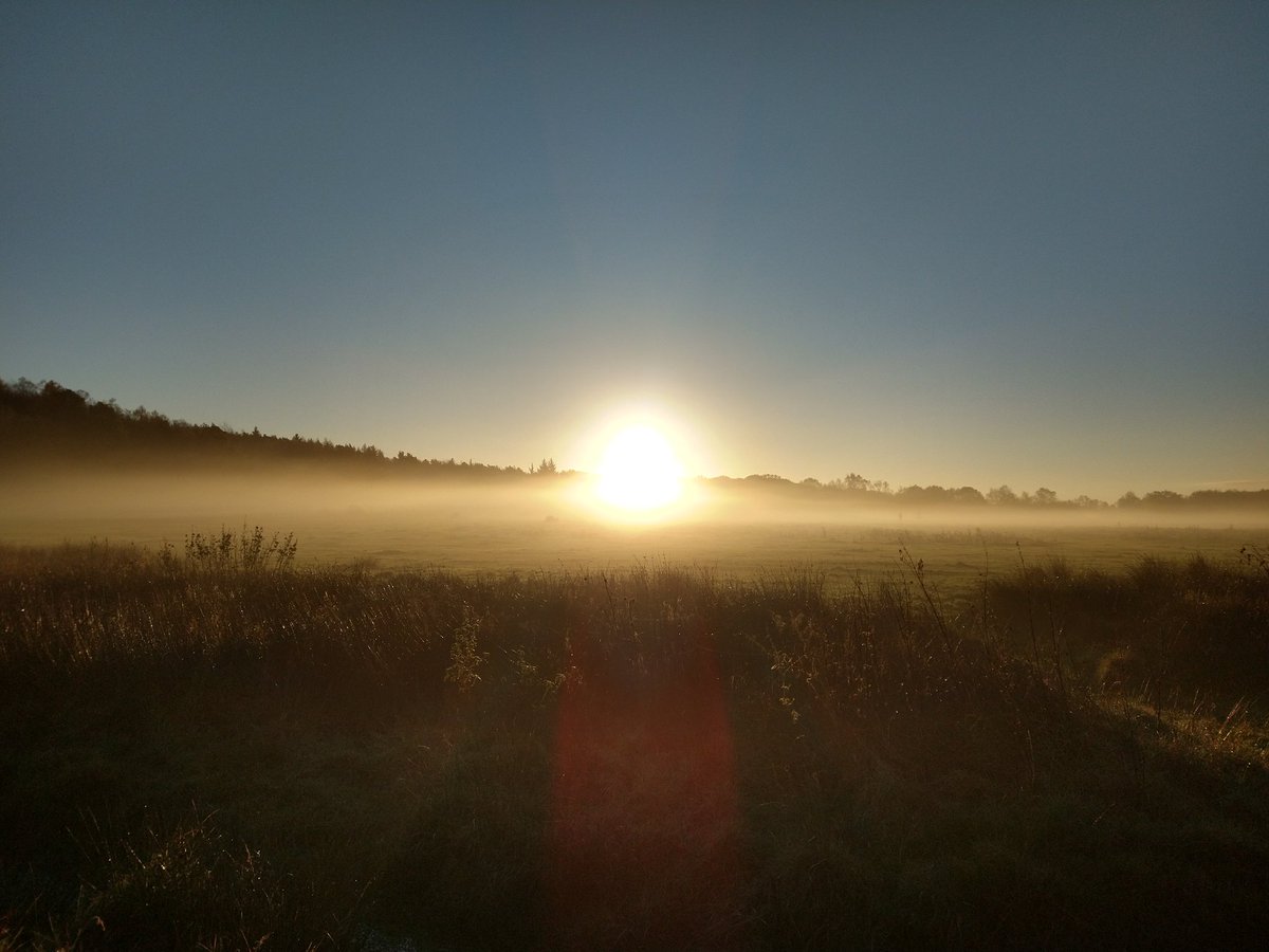 kitteridge_lisa's tweet image. Frosty start to the day. 

More calm dog watching to be done. Nice day for it!! ☀️🥶🌄

#reactivity
#desensitisation
#goldenretrievers