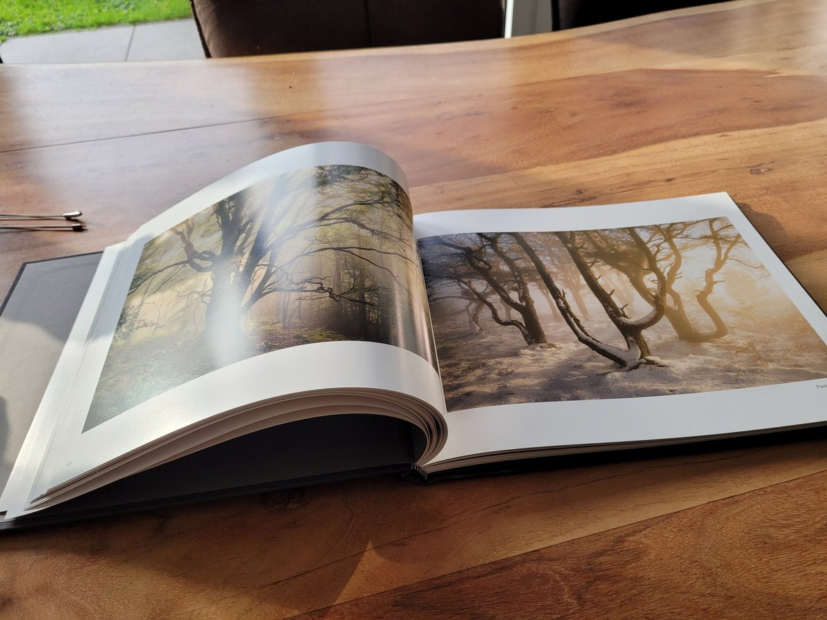 photography_jhr's tweet photo. Very happy with my birthday gift by @JannieRoos...
#gatheringtime , the inspirational & beautiful book from #landscapephotographer @simonbaxter
#woodlandphotography #forestphotography https://t.co/ufpUYP77p9