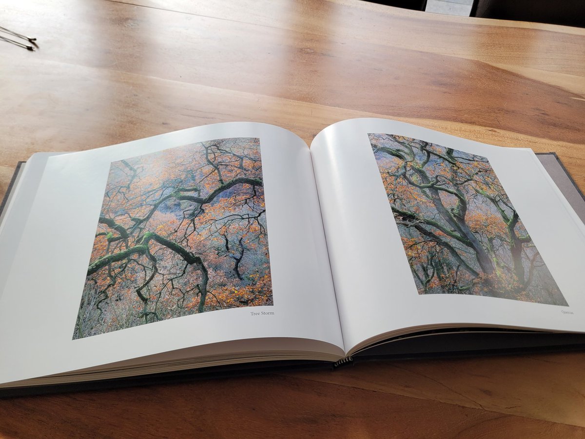 photography_jhr's tweet photo. Very happy with my birthday gift by @JannieRoos...
#gatheringtime , the inspirational & beautiful book from #landscapephotographer @simonbaxter
#woodlandphotography #forestphotography https://t.co/ufpUYP77p9